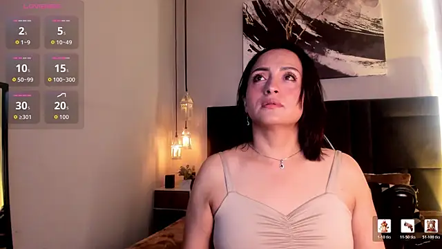 evazul webcam