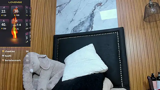 ARYAMORGAN1 webcam