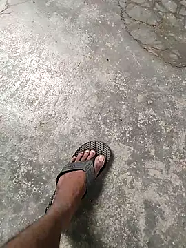 lambakooli webcam