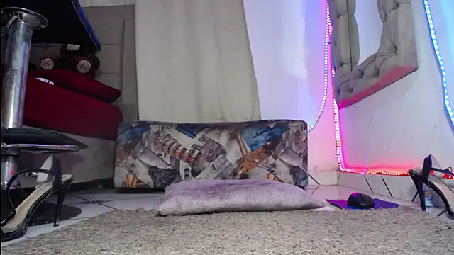 TRANSCATALINA webcam