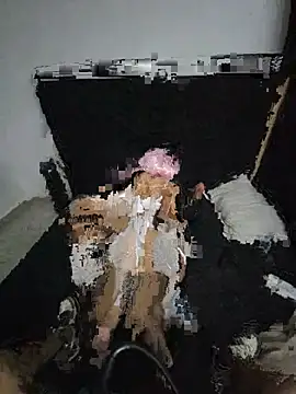 Smoors19 webcam