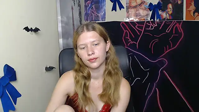 StellaCRL webcam