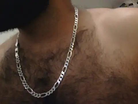 indianhairybull webcam