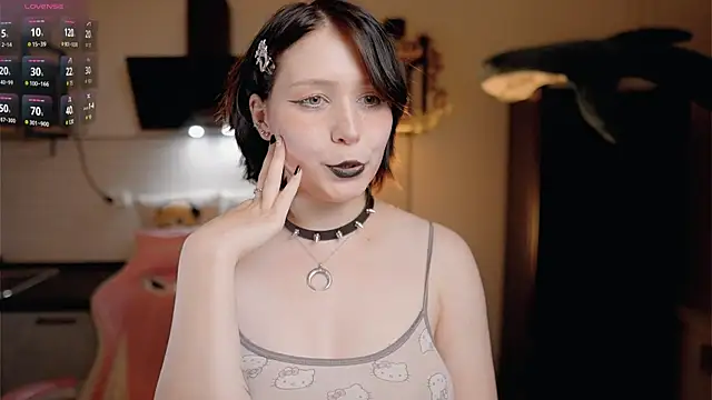 Nickari webcam