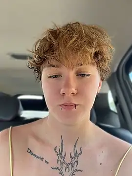 IceMur webcam