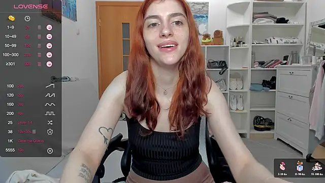 broosnica1 webcam