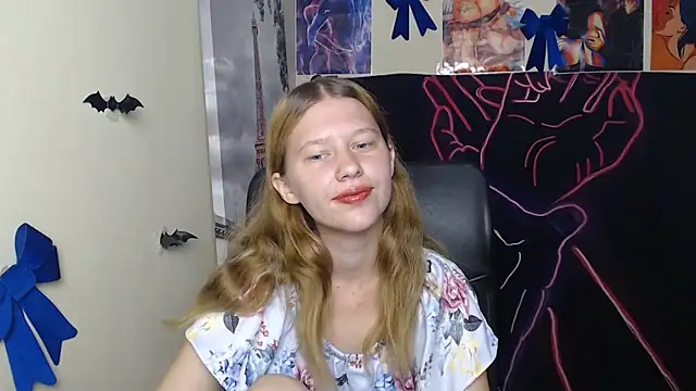 StellaCRL webcam