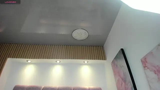 1Sloppy_Fox4 webcam