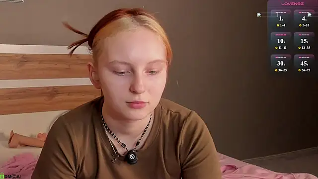 AngelWisee webcam