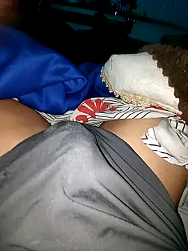 bfs266 webcam