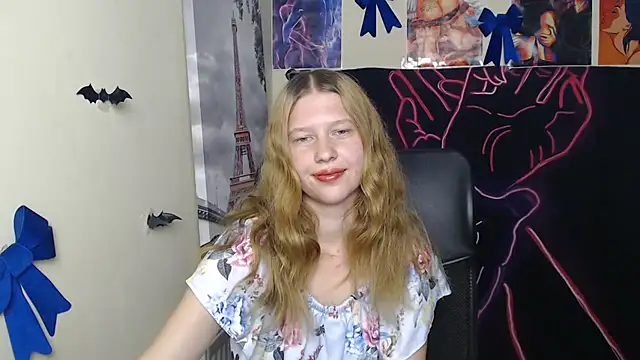 StellaCRL webcam