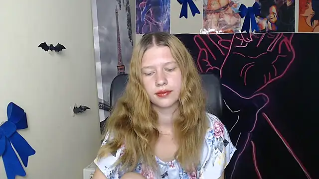 StellaCRL webcam