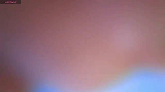 MeelFox webcam