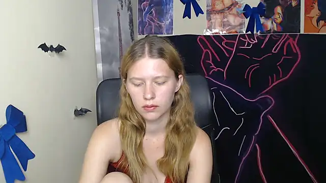 StellaCRL webcam
