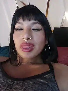 MeelFox webcam