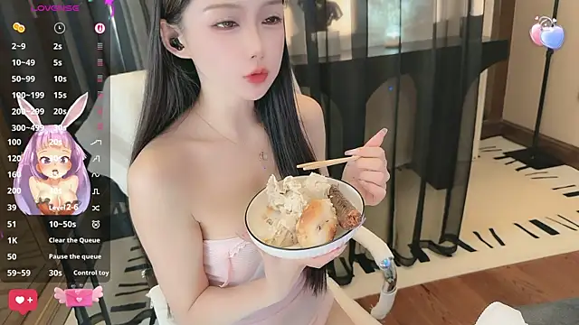 Aisi-20 webcam