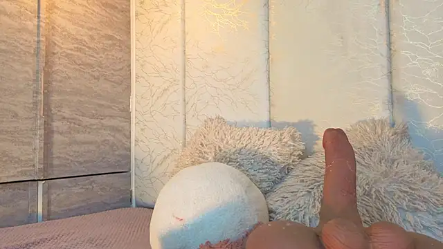 Rynka_ webcam