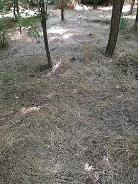 sile47 (Ask my age) - #blondes #cam2cam #cheap-privates #daddies #ejaculation #handjob #masturbation #medium #mobile #outdoor #romanian #shaven #small-audience #straight #white