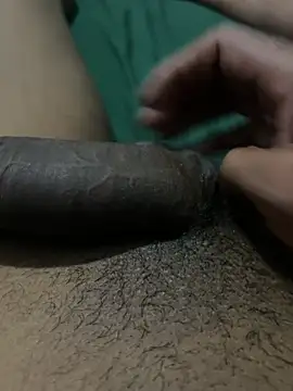Dom0021 webcam