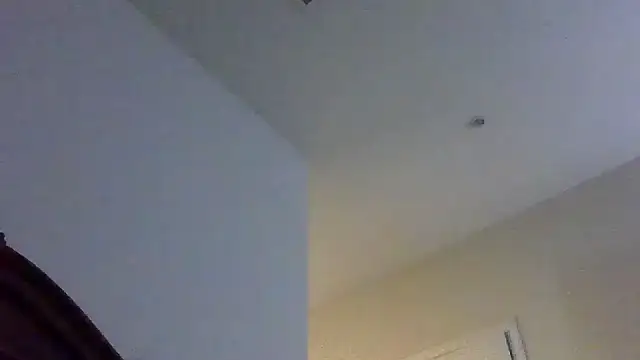 Triggerhappycj100 webcam