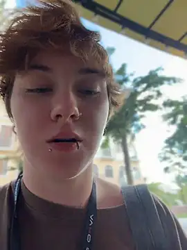 IceMur webcam