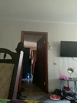 Frosl webcam