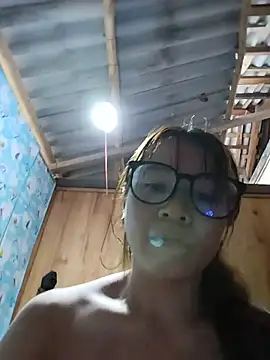 Biva11 webcam