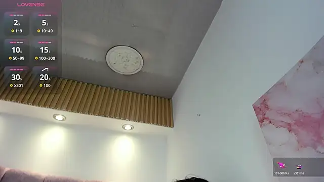 1Sloppy_Fox4 webcam