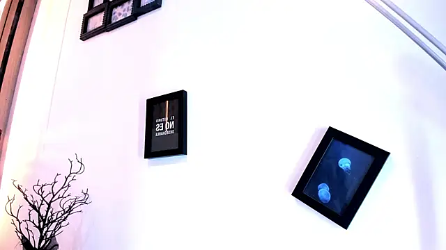 Pit_Ross webcam