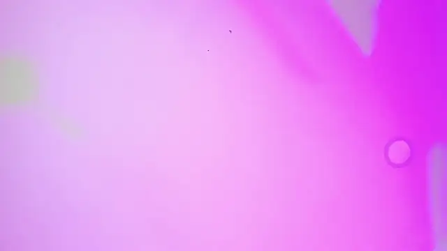 MarcoAndAllice webcam
