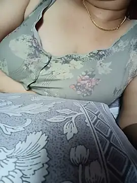 Hansikatelugu webcam