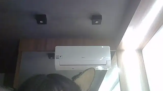 SkinnyKitten webcam