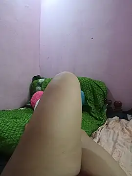 vijjuutelugu webcam