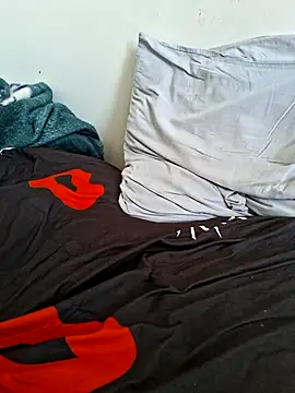 molozeb webcam
