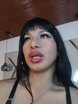 MeelFox webcam