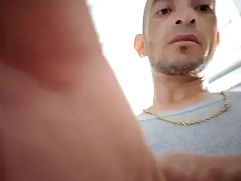 hpcouplee420 webcam