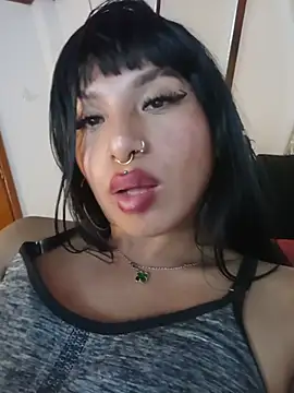 MeelFox webcam