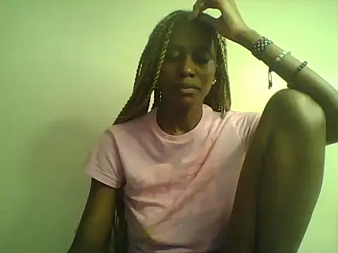 DelteAfriq webcam