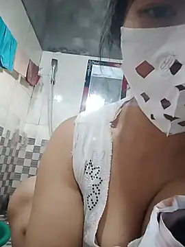 Hiha-nn webcam