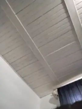 gabii_hardy webcam
