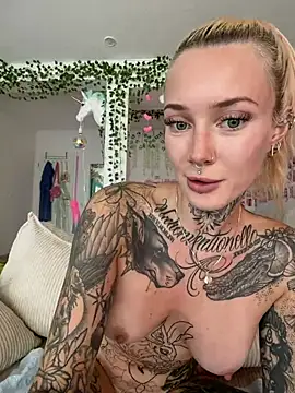 Stella-Kink webcam
