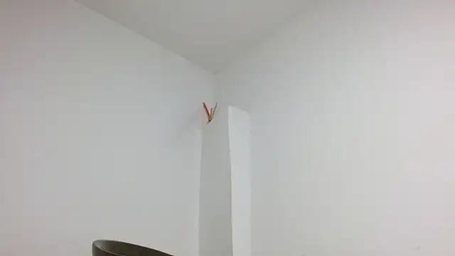 Twinkcock22 webcam