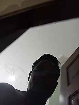 mem254 webcam