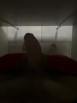 Ronin1315 webcam
