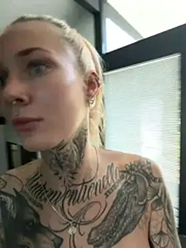 stella-kink