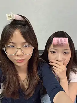 YY-1-1-1 webcam