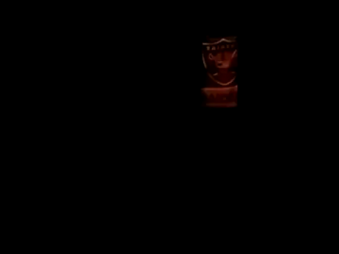 Blkstylion webcam