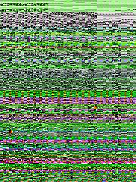 MissAuthority webcam
