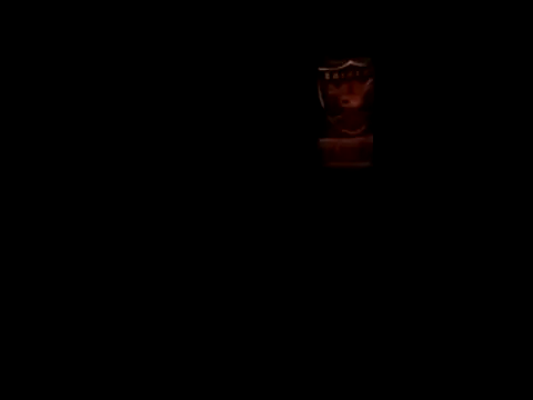 Blkstylion webcam