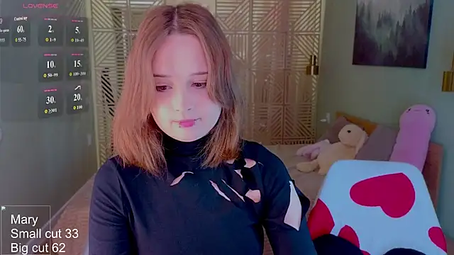 Mary_uw webcam